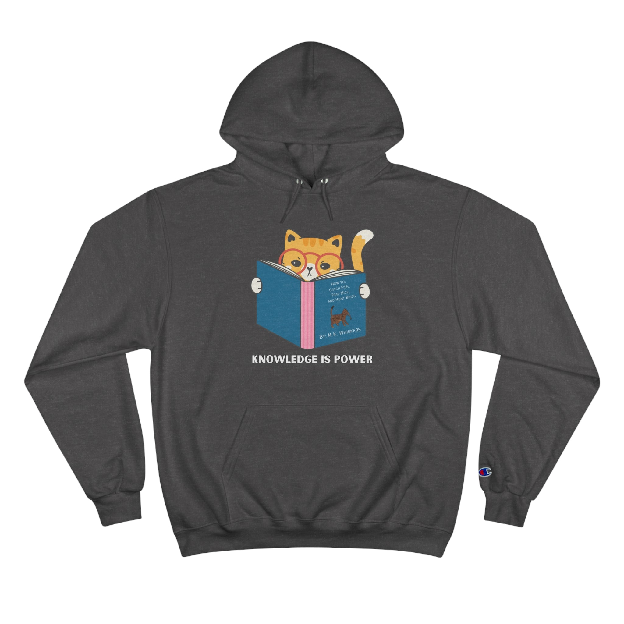 Knowledge Is Power Reading Cat Champion Hoodie