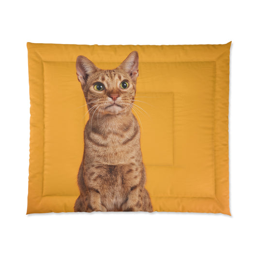 Bright Orange Cat Queen Size Comforter